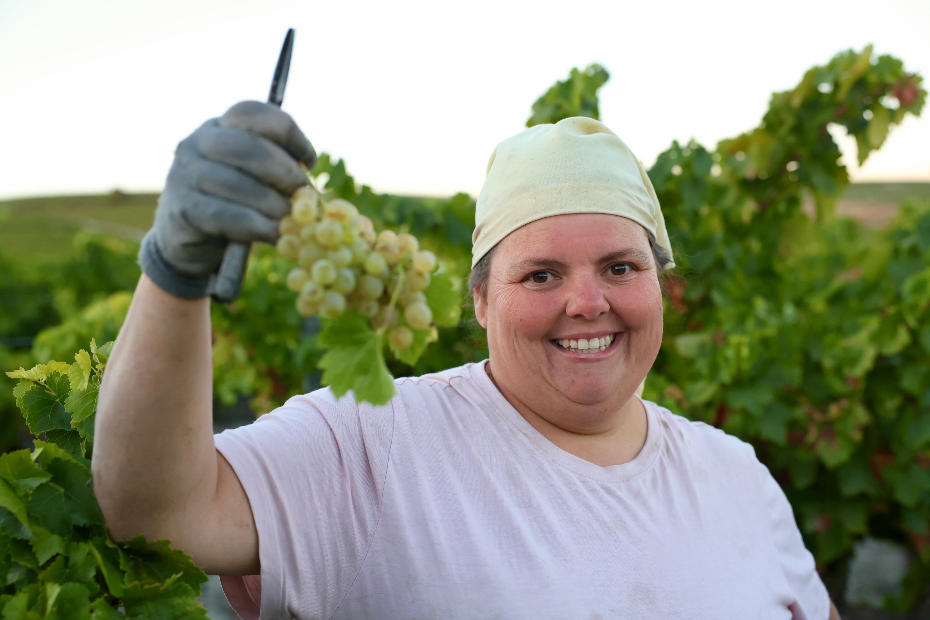 Fotos: El corazón del Marco de Jerez late otra vez con la vendimia