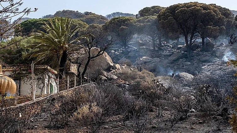 «La principal hipótesis sobre el fuego de Tarifa es que fue provocado, aunque sigue la investigación»
