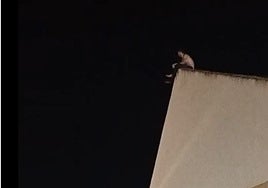 Fuga frustrada en Puerto II: el preso tuvo en jaque a los trabajadores durante más de una hora en el tejado... «¡Me tiro!»