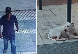 La Policía Local de Chiclana pide colaboración para identificar a un hombre que ha abandonado a su perro