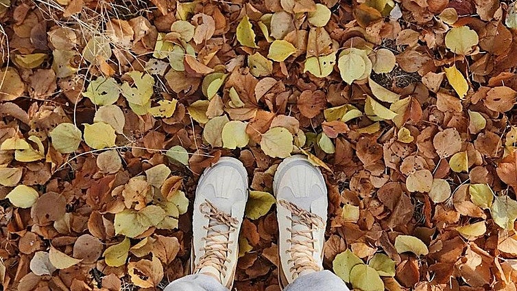 Cuándo empieza el otoño 2025 en España: esta es la fecha exacta del cambio de estación