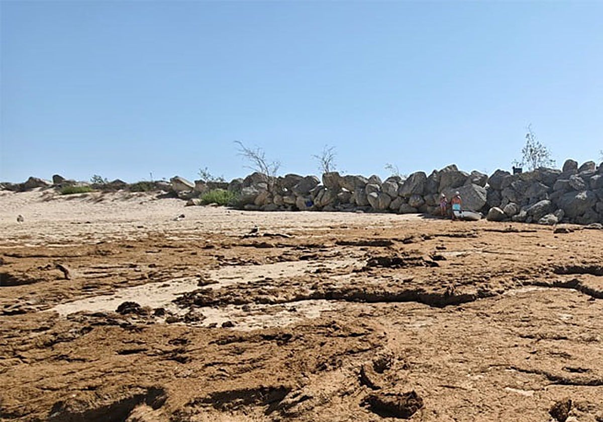 El Paseo organiza una jornada de limpieza en la playa de La Puntilla