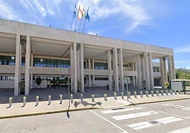 La alcaldesa de Jerez solicitará una reunión con el ministro de Transportes para «salvar» el aeropuerto