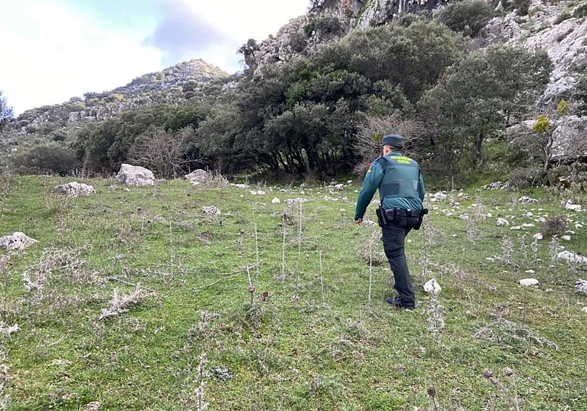 La Guardia Civil continúa con la investigación.