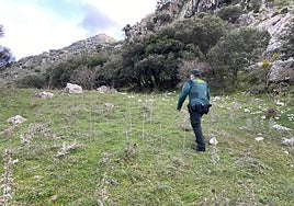 La cruel muerte de Ambrosio, el vendedor de cupones asesinado en Benaocaz con setenta puñaladas