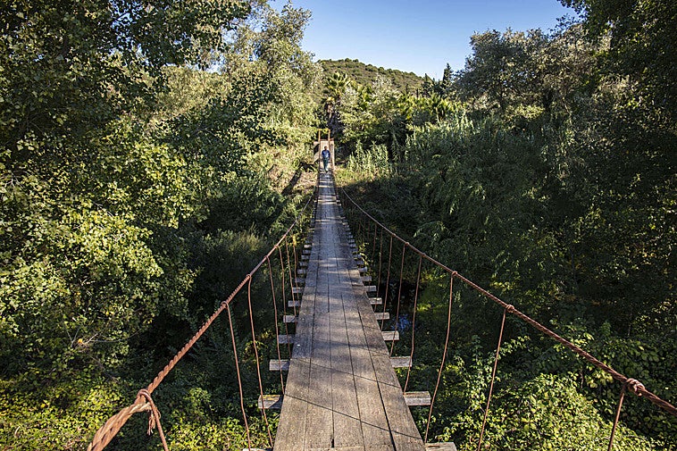 Así es el pueblo más joven de la provincia de Cádiz: se independizó en 2018 y tiene menos de 3.000 habitantes