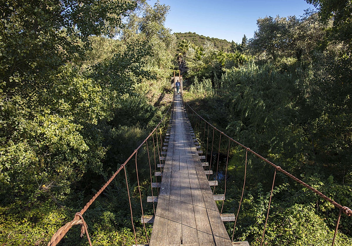 Así es el pueblo más joven de la provincia de Cádiz: se independizó en 2018 y tiene menos de 3.000 habitantes