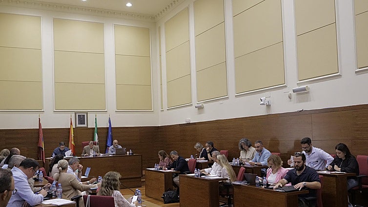 El Pleno de Chiclana aprueba ampliar a siete las distinciones municipales