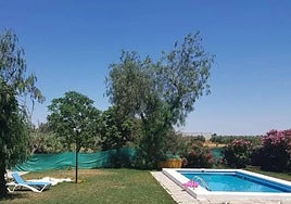 Chiclana intensifica la lucha contra el Virus del Nilo y pide a dueños de piscinas extremar la limpieza