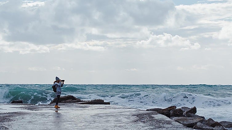 De erizos de mar a cultura marítima: estos son los 13 proyectos de investigación que financia CEIMAR