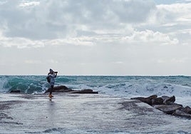De erizos de mar a cultura marítima: estos son los 13 proyectos de investigación que financia CEIMAR