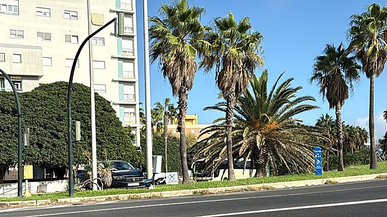 El vehículo accidentado en la mediana