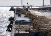 Nuevos restos arqueológicos emergen durante las obras de la Fase II de la Nueva Terminal de Contenedores de Cádiz
