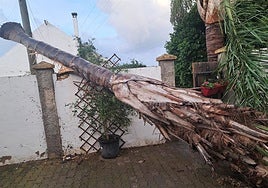 Una manga marina deja numerosos daños materiales en Rota y Sanlúcar