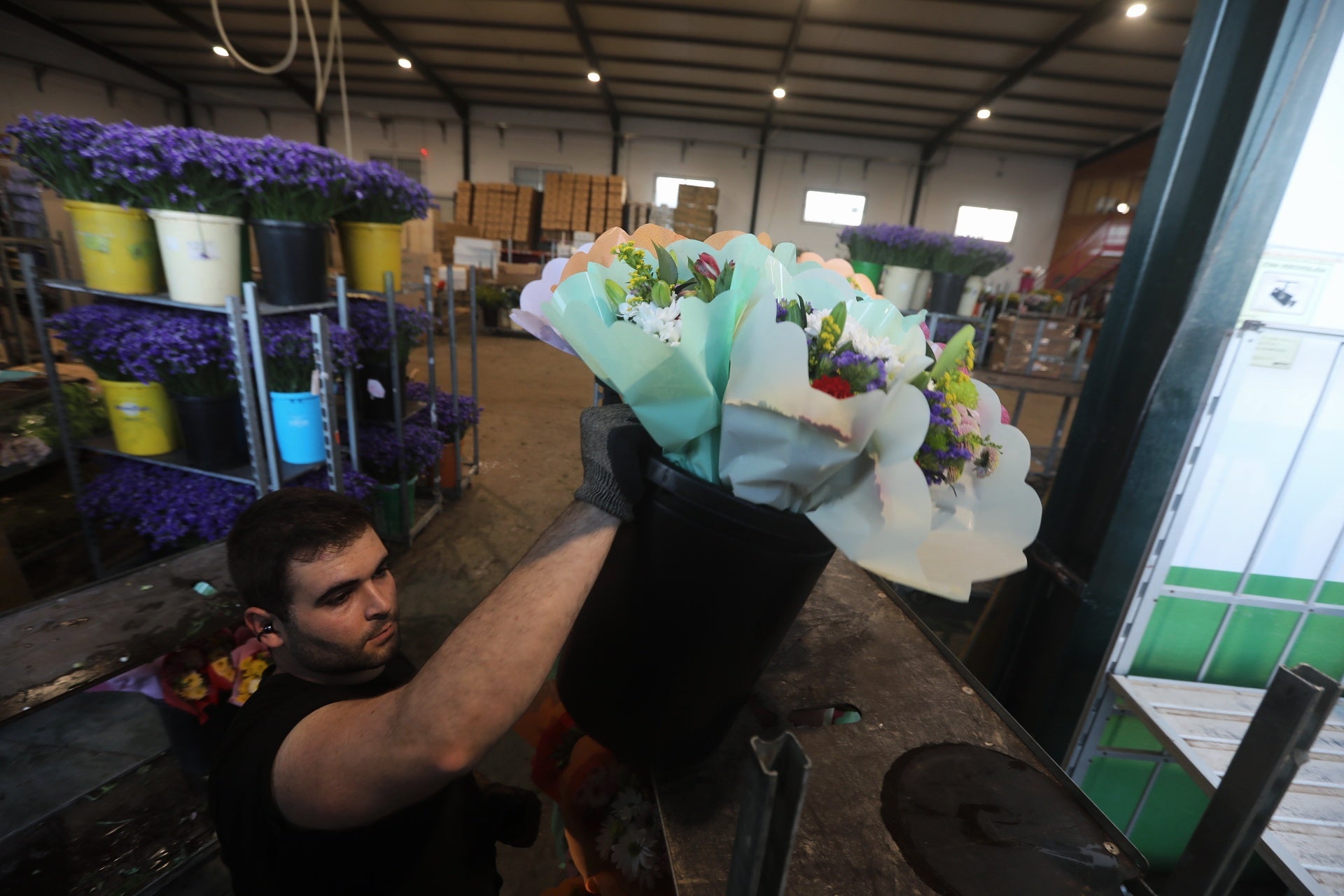 Imagen secundaria 2 - El secreto de Chipiona: así se convirtió este pueblo de Cádiz en el &#039;jardín de España&#039; que exporta flores a todo el mundo