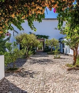 Imagen secundaria 2 - Imágenes del cortijo