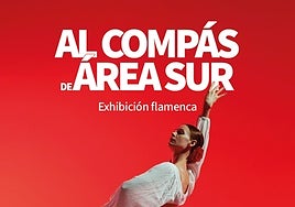Área Sur se vestirá de arte y compás con motivo del el Día Mundial del Flamenco