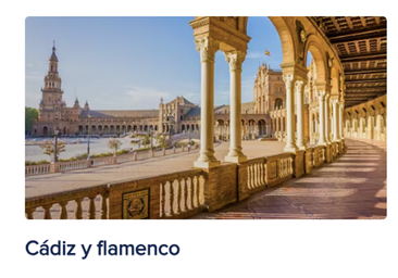 Las grandes navieras americanas usan a Cádiz como reclamo para hacer negocio en Sevilla