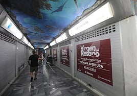 Todo a punto para la apertura del Rincón Gastronómico del Mercado del Rosario de Cádiz