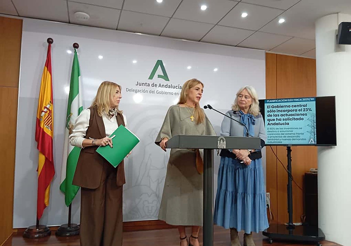 El Gobierno de España «ningunea» a Cádiz con el reparto de las inversiones eléctricas