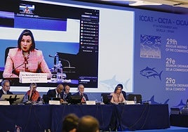 El sector almadrabero confía (esta vez sí) en un fuerte aumento de la cuota de pesca para la próxima temporada