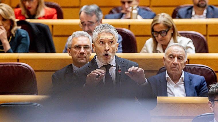 El PP critica «la incompetencia» de Marlaska: «No queremos que, por su culpa, Cádiz sea territorio para narcos»