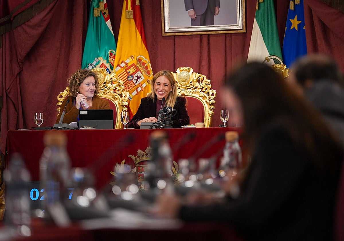 La presidenta de la Diputación de Cádiz, durante la celebración del Pleno de noviembre