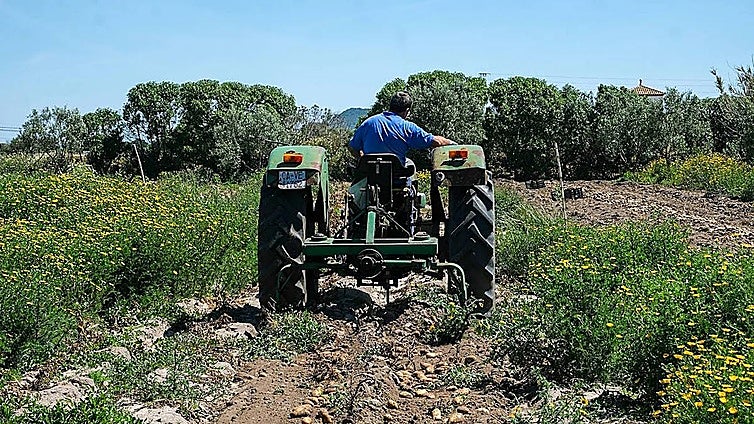 Alemania lidera la compra de fruta y hortaliza cultivada en Cádiz
