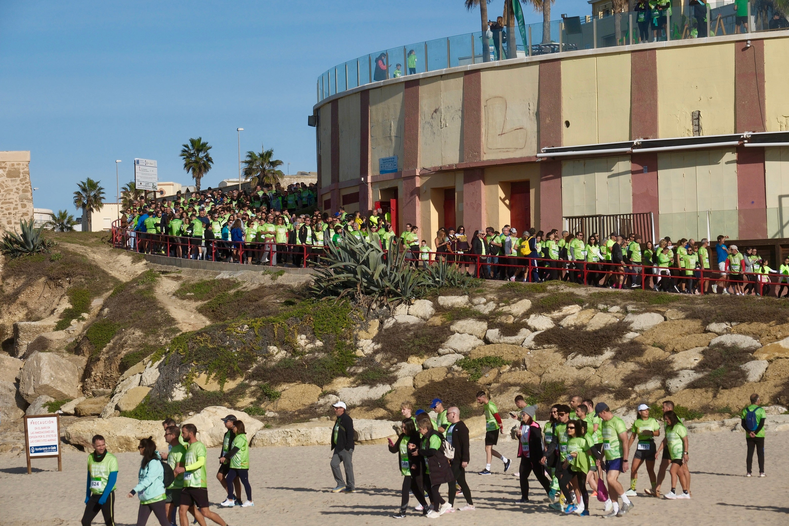 Más de 5.000 personas participan en la XI Carrera Cádiz en Marcha Contra el Cáncer