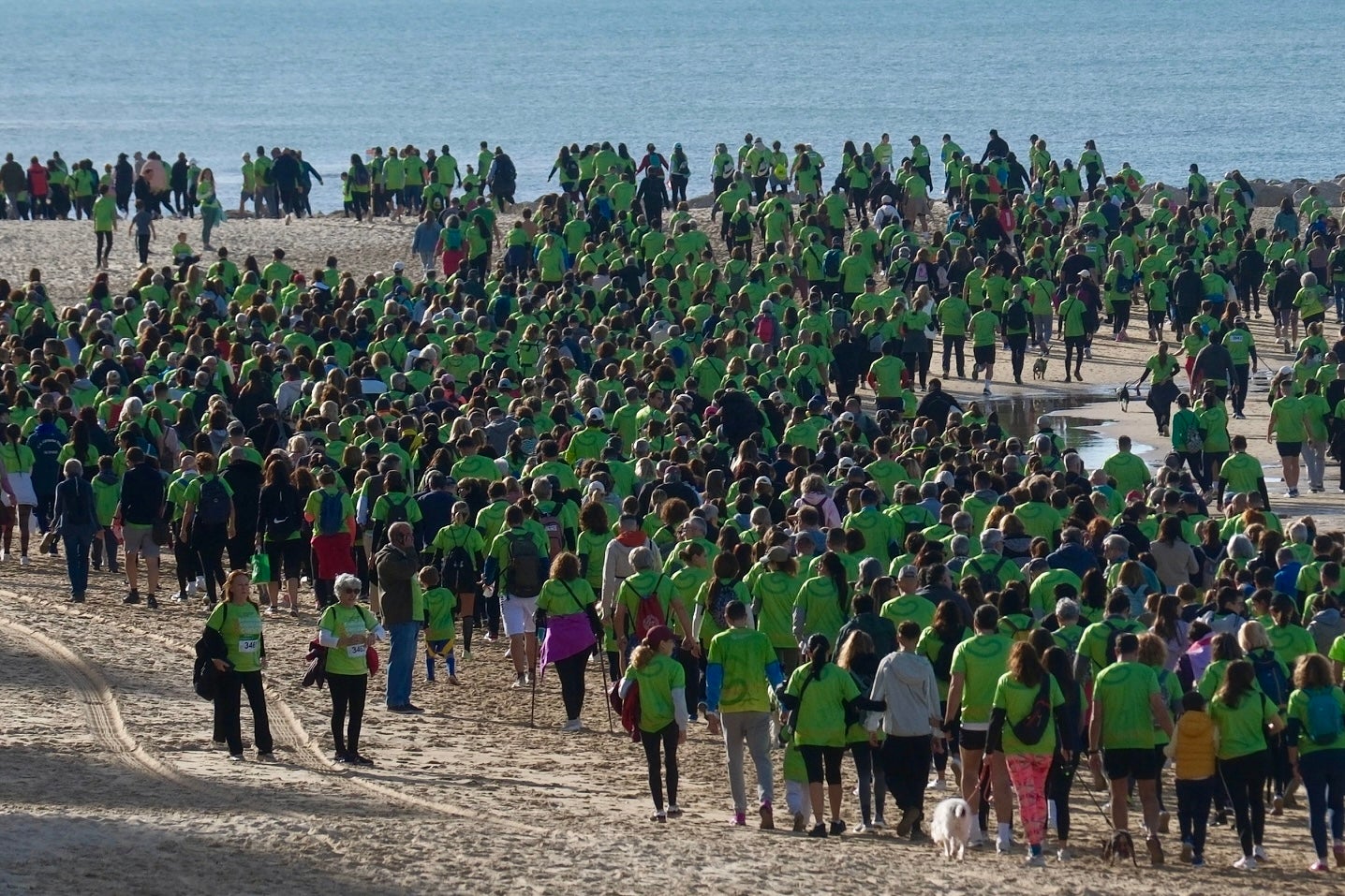 Más de 5.000 personas participan en la XI Carrera Cádiz en Marcha Contra el Cáncer