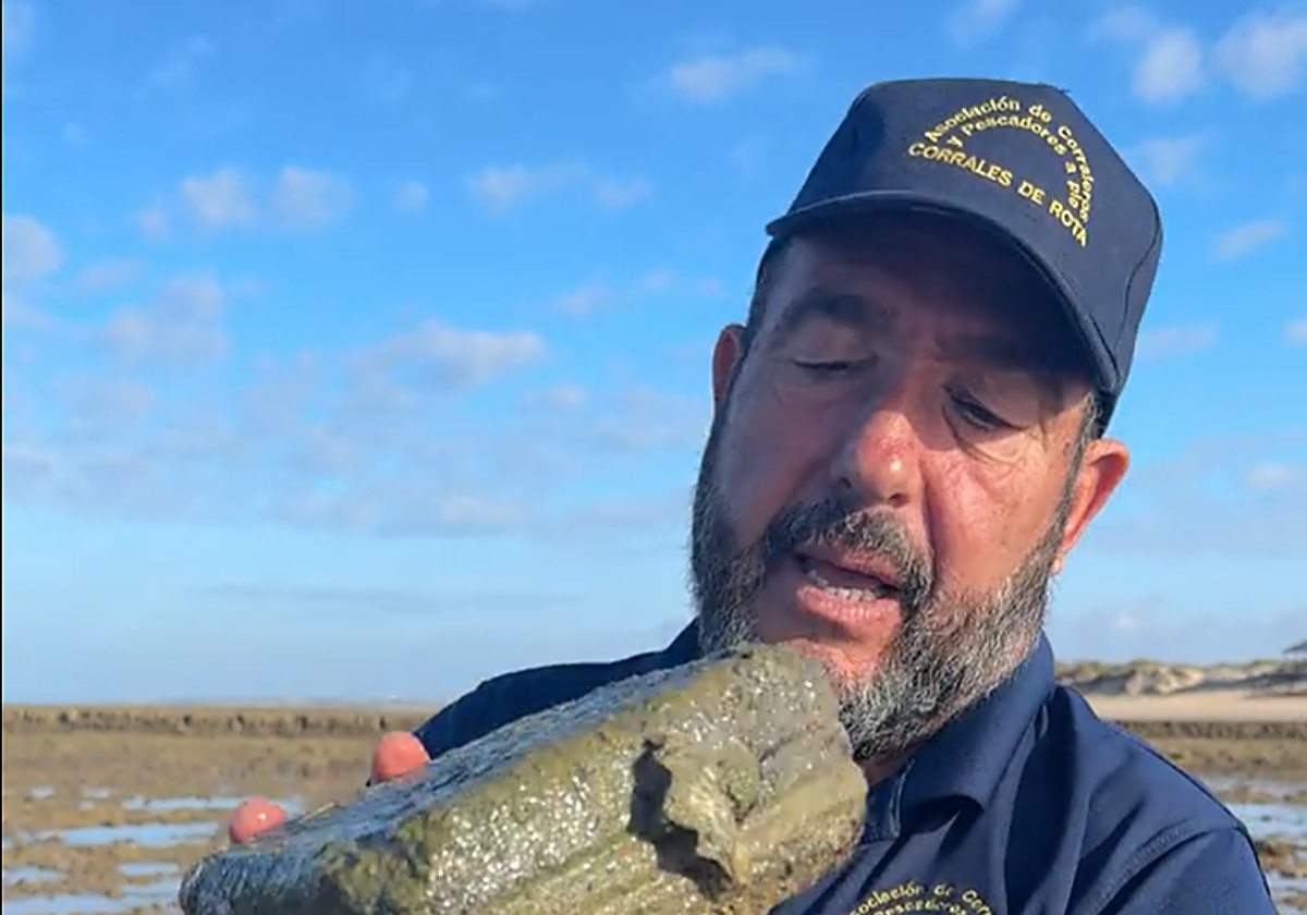 Un trabajador encuentra este extraño objeto en los corrales de Rota: «¿Será una piedra fenicia, romana o moderna?»
