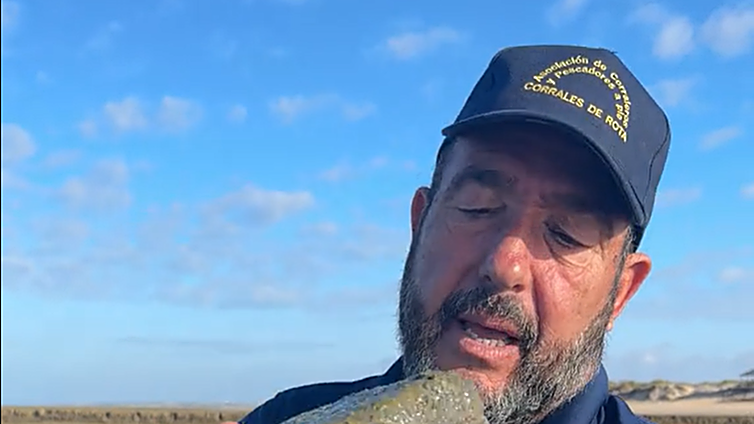 Un trabajador encuentra este extraño objeto en los corrales de Rota: «¿Será una piedra fenicia, romana o moderna?»