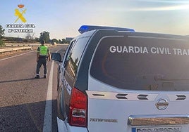 Detenido el conductor de un vehículo con 41 kilos de hachís por la A-7 a la altura de San Roque