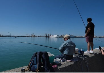 Pesca recreativa en Andalucía: cómo registrarse, qué especies puedes pescar y cuáles están prohibidas desde el 10 de enero