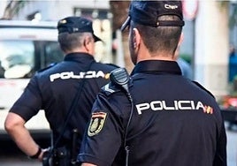 «Atácalos» y «mátalos»: un fugitivo azuza a su perro contra la Policía para impedir su arresto en Jerez