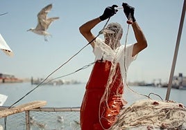 As&iacute; se vende la provincia de C&aacute;diz al mundo en v&iacute;deo: &laquo;Una tierra que produce, que construye, que transforma&raquo;
