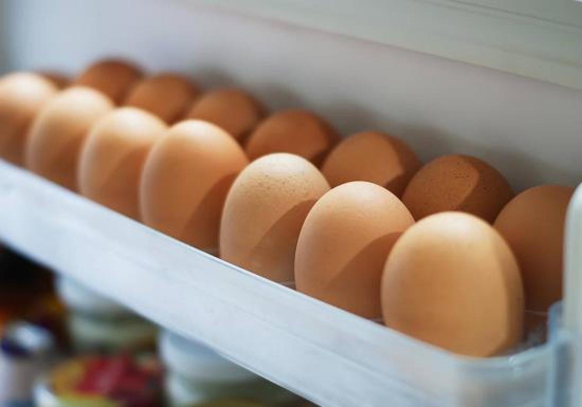 Dónde los huevos en casa: ¿dentro o fuera de la nevera?