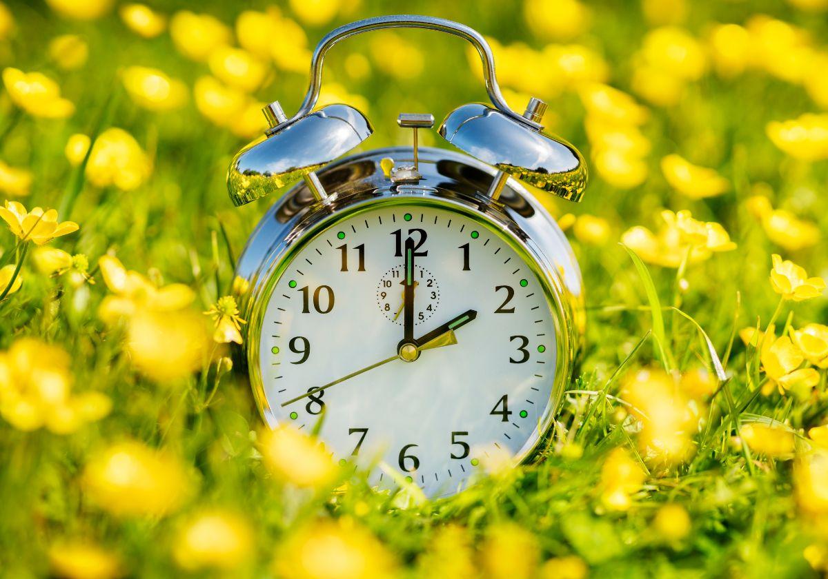 Imagen de un reloj en un campo de flores