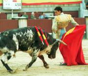 Matías Tejela y Luis Rubias logran diferente unanimidad