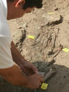 FOTOS: ROCÍO RUZ  La actividad arqueológica sigue siendo muy intensa en la Avenida de  la Constitución debido al poco tiempo que han concedido a los arqueológos para analizar el cementerio islámico, pese a la importancia que supone este hallazgo