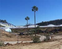 Alcalá estrena dragón