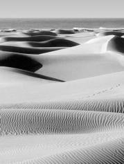 A las dunas de Maspalomas les quedan solamente 90 años de vida