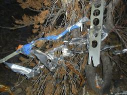 Los restos del avión en el que viajaba Fossett./ AP