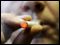 El estudio constata el "descenso paulatino" de la prevalencia del tabaquismo. /ARCHIVO