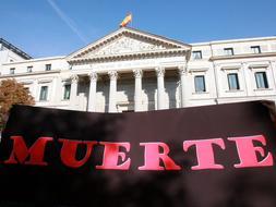 Derecho a Vivir advierte al Gobierno de que una ley de plazos «sería inconstitucional»