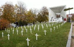 Cruces blancas en contra del aborto el día de la Constitución