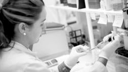 Un Consejo de Política Científica controlará la investigación en España