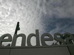 Endesa ganó el año pasado el 168% más que en 2007 por la venta de activos a E.ON