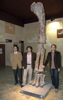 El saurópodo de Teruel fue devorado por un gran dinosaurio carnívoro