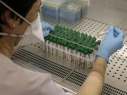 La OMS investigará si la gripe A salió de un laboratorio por un error humano